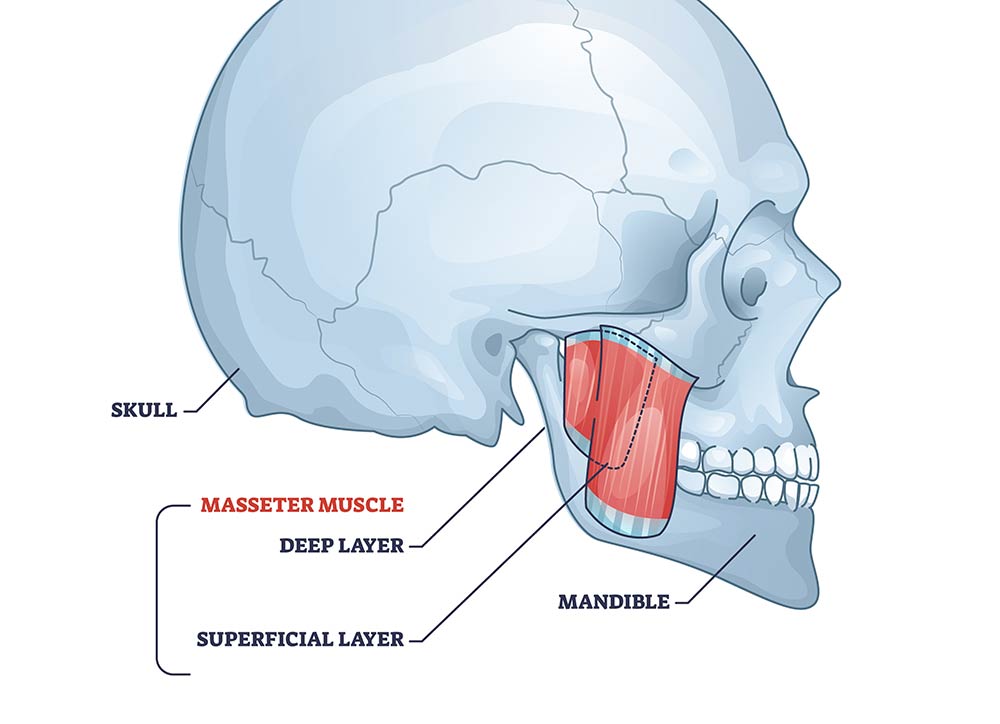 Zahnarzt für Kiefergelenksbeschwerden / Beschwerden am Kiefer